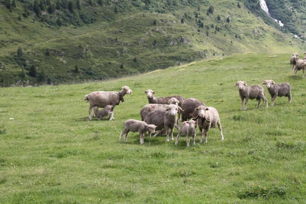 Le Cottage Des Sybelles Saint-Sorlin-dʼArves Kültér fotó