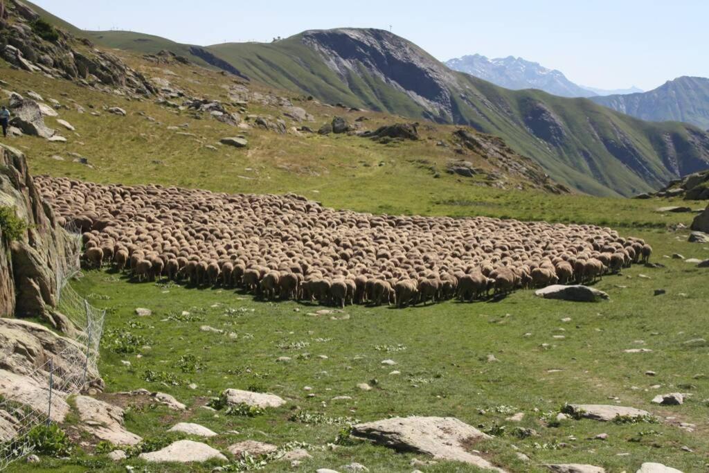 Le Cottage Des Sybelles Saint-Sorlin-dʼArves Kültér fotó